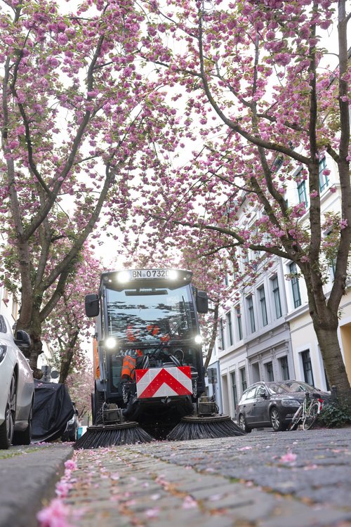 Frontalansicht der elektrischen Kehrmaschine von bonnorange in der Breite Straße in der Bonner Altstadt zur Kirschblüte.